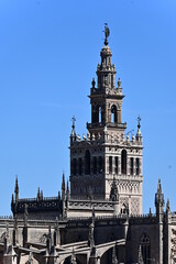 Fototapeta na wymiar Cathedral of Seville, Spain, Gothic, in 1988 it entered the Guinness Book of Records for being the with the largest area in the world.