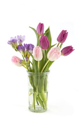 Flowers Tulip and Freesia in vase isolated on white background. Bouquet of purple pink spring flowers.
