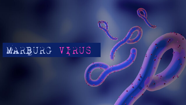 Marburg virus (MARV) 3d Illustration with text. An infectious disease that can cause outbreaks.