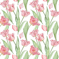 Obraz premium Watercolor seamless floral pattern in vintage style for textile, decor and packing. Striped crown pink tulips on white background.