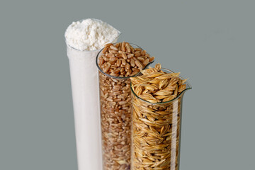 unpeeled wheat grain in a glass flask, peeled wheat grain, flour, on a white background