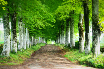 Obraz premium OLYMPUS DIGITAL CAMERA