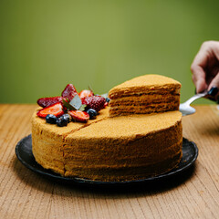 piece of cake with chocolate