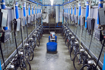 milking equipment at cow farm, farming concept