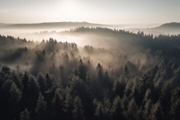 pine forest in the mountains, blanketed in morning mist. The trees rise tall and straight, with their branches covered in needles that are tinged with dew Generative AI