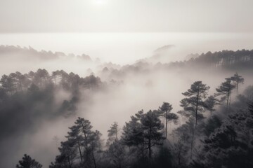 pine forest in the mountains, blanketed in morning mist. The trees rise tall and straight, with their branches covered in needles that are tinged with dew Generative AI