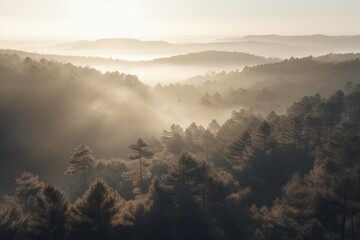 pine forest in the mountains, blanketed in morning mist. The trees rise tall and straight, with their branches covered in needles that are tinged with dew Generative AI