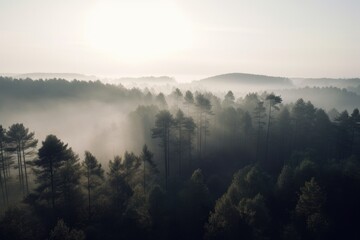 pine forest in the mountains, blanketed in morning mist. The trees rise tall and straight, with their branches covered in needles that are tinged with dew Generative AI