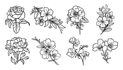 Set Collection of hand drawn botanical floral