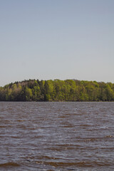 tree on the river