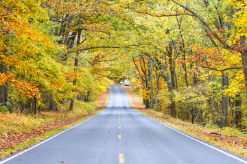 Autumn foliage in Shenandoah National Park, Virginia - United States