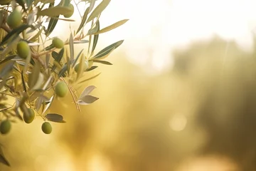 Fotobehang Olives on olive tree in autumn Season nature image with copy space Generative AI © hardqor4ik