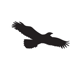 eagle in the sky. simple black vector illustration. graphic arts. web flat icon. symbol or sign. eagle or crow. bird in flight. fly