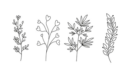 Floral set of hand drawn botanic elements. Vector illustration