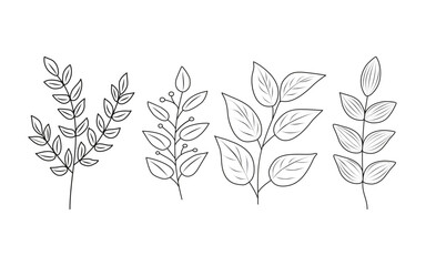 Floral set of hand drawn botanic elements. Vector illustration