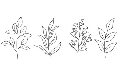 Floral set of hand drawn botanic elements. Vector illustration