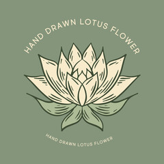 Obraz premium Lotus hand drawn illustrations, vector.