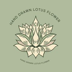 Lotus hand drawn illustrations, vector.