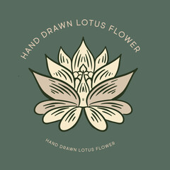 Lotus hand drawn illustrations, vector.