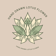 Lotus hand drawn illustrations, vector.