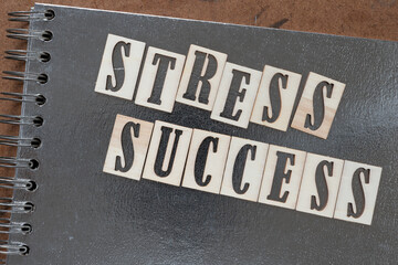 stress success