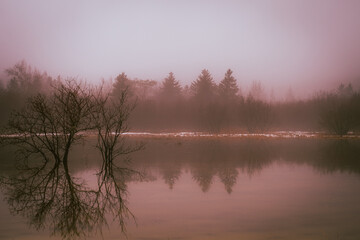 Fototapeta premium Misty Morning