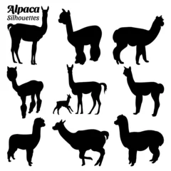 Foto auf Alu-Dibond Set alpaca silhouette vector illustration. © Ascreator