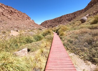 Altiplano andino de Chile
