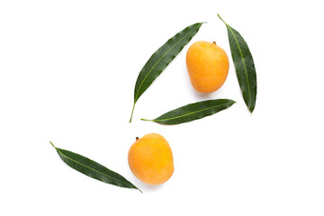Tropical fruit, Mango on white background.