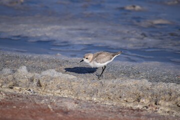 Desierto de Atacama en la cordillera de los Andes