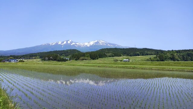 残雪の鳥海山と田んぼに映る逆さ鳥海山