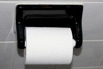 Toilet paper on black toilet paper holder in bathroom straight on angle