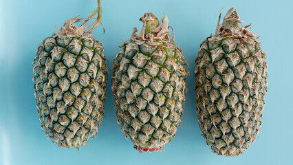 three pineapples on a blue background