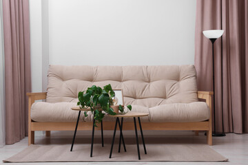 Comfortable sofa and houseplant on coffee table in light room. Interior design