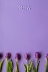 Spring tulip and text Happy Birhday on english laid out of multi-colored cube on violet background