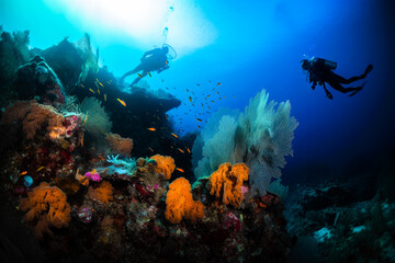 Naklejka na ściany i meble Scuba divers exploring coral reef. Beautiful underwater nature, high quality generative ai