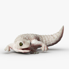 Gecko Reptile 3D CGI Render