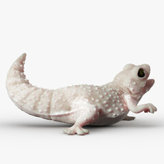 Gecko Reptile 3D CGI Render