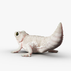 Gecko Reptile 3D CGI Render