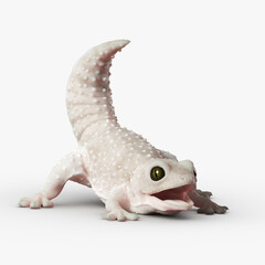 Gecko Reptile 3D CGI Render