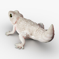 Gecko Reptile 3D CGI Render