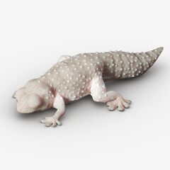 Gecko Reptile 3D CGI Render