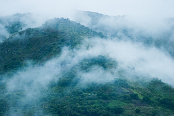 Bosque de nubes en montañas en los alrededores Machupichu y Aguas calientes.