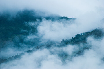 Bosque de nubes en montañas en los alrededores Machupichu y Aguas calientes. - obrazy, fototapety, plakaty