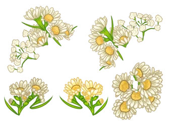 Wandaufkleber 花のイラストセット © Tsukasa