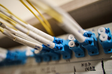 Optical patch panel. Data transmission via optical fiber cable. Optical patch cord Lc Lc.