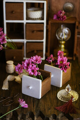 still life flower on the table