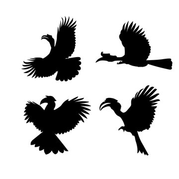 silhouettes of rangkong vector eps 10