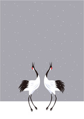湿原の雪の中で求愛ダンスをする冬のタンチョウのつがい（タテ型）