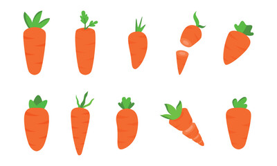Set of Carrot illustration with flat design cute illustratioon, slice carrot and all kinds of carrots